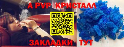 Альфа ПВП Малгобек