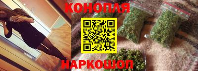 Альфа ПВП Малгобек